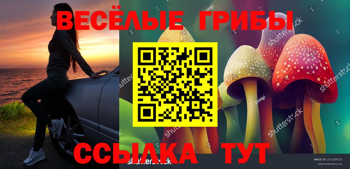 Псилоцибиновые грибы Psilocybine cubensis  Вход с VPN  Сатка 