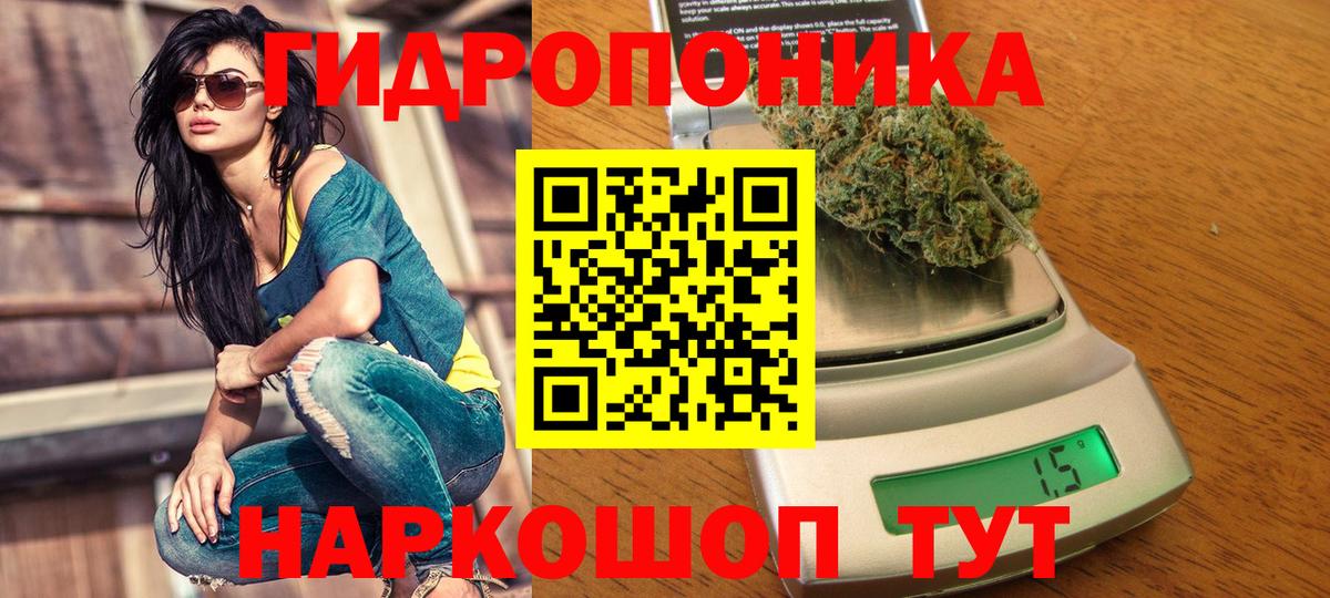 Бошки марихуана Ganja  МАРИХУАНА LSD WEED  Вход с VPN  Каннабис конопля  Марихуана индика  Сатка 